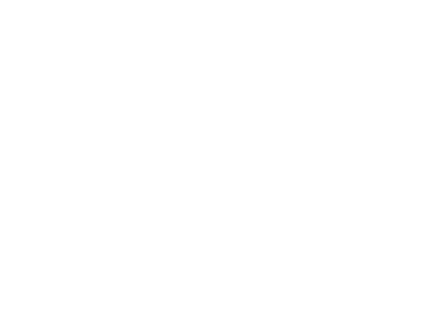 Zzetta Pizza